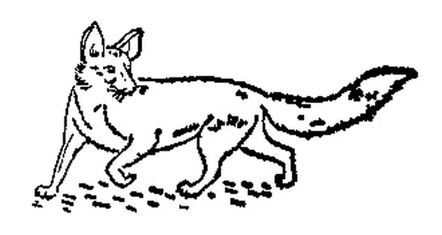 Logo der Kita Fuchsbau: Zeichnung eines Fuchses